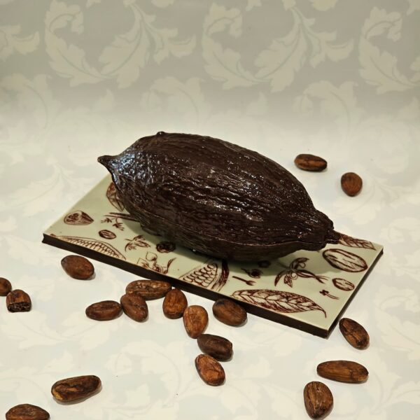 Cabosse botanique fermé sur plaque de chocolat