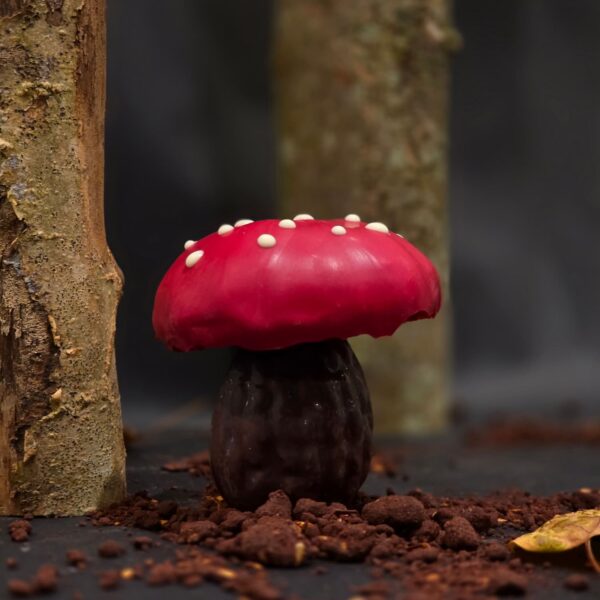 Champignon rouge