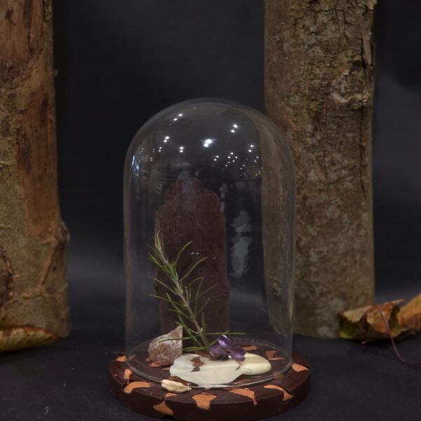 Extrait de sous bois sous cloche