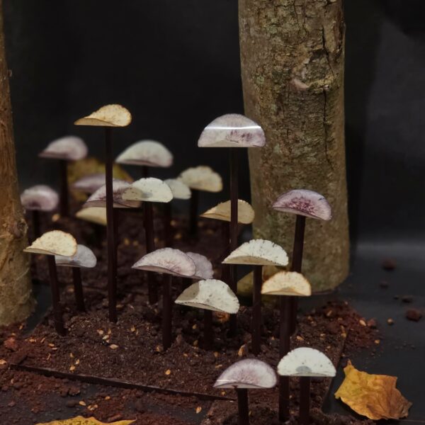 Volée de champignon